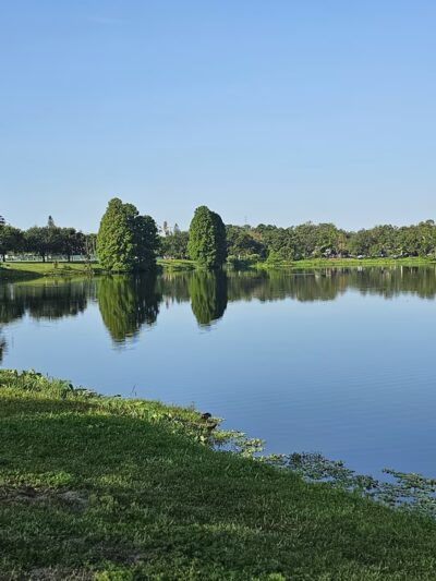 Crescent Lake Dog Park - St. Petersburg, FL