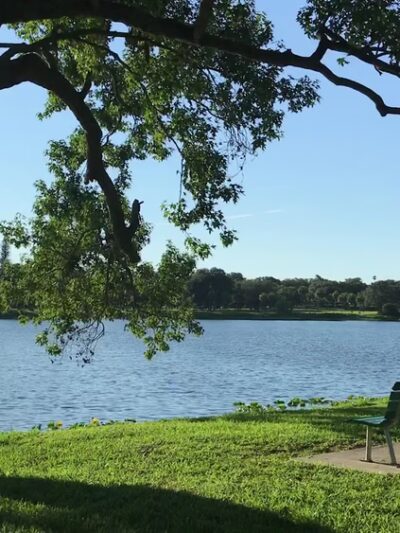 Crescent Lake Park - St. Petersburg, FL