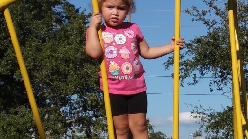 Da Vista Community Playground - St. Petersburg, FL