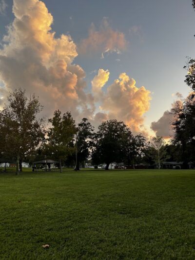 Kiwanis Park - St. Petersburg, FL