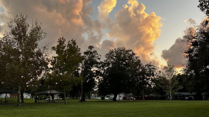 Kiwanis Park - St. Petersburg, FL