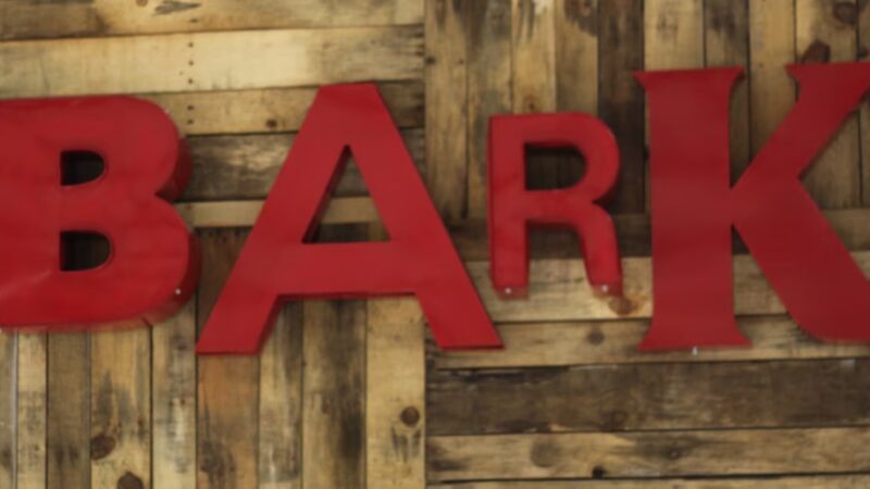 Love My Dog Resort & Playground - St. Petersburg, FL