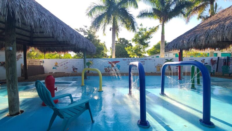 Love My Dog Resort & Waterpark - St. Petersburg, FL