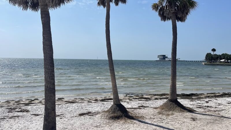 North Shore Park - St. Petersburg, FL