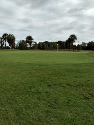Northeast Park - St. Petersburg, FL