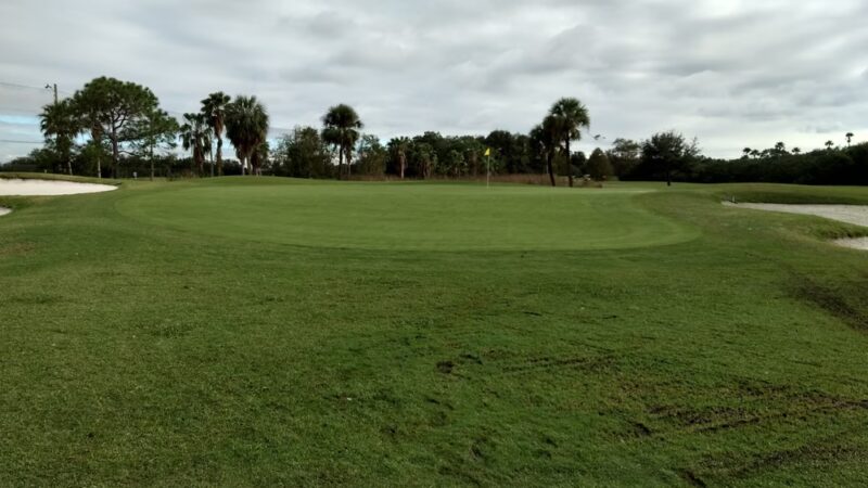Northeast Park - St. Petersburg, FL