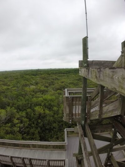 Northeast Park - St. Petersburg, FL