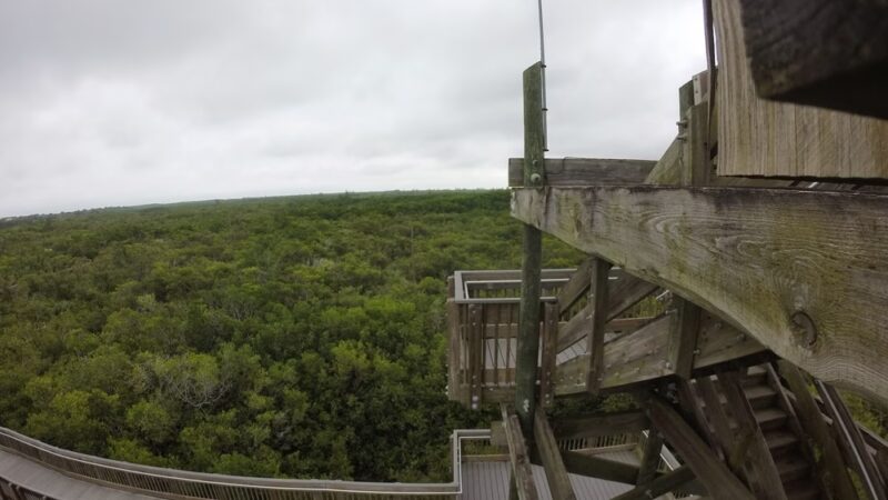 Northeast Park - St. Petersburg, FL