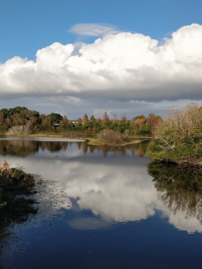 Raymond H. Neri Community Park - St. Petersburg, FL