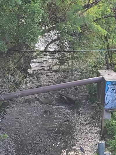 Raymond H. Neri Community Park - St. Petersburg, FL