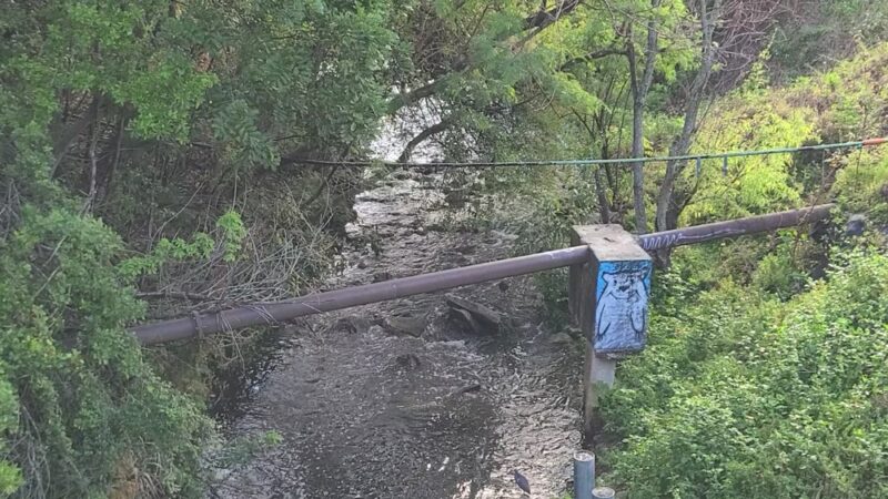 Raymond H. Neri Community Park - St. Petersburg, FL