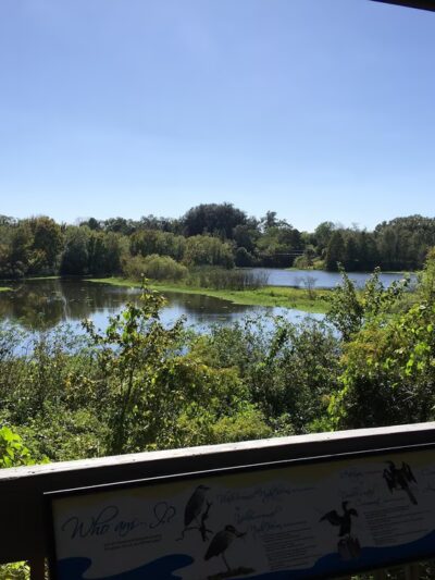 Raymond H. Neri Community Park - St. Petersburg, FL