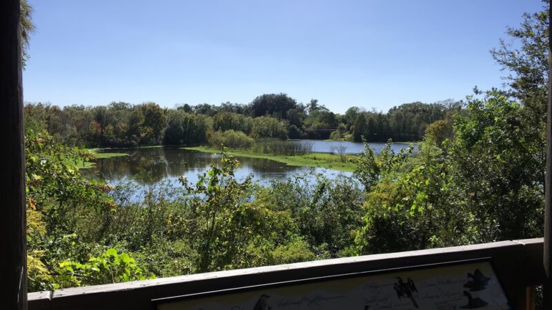 Raymond H. Neri Community Park - St. Petersburg, FL