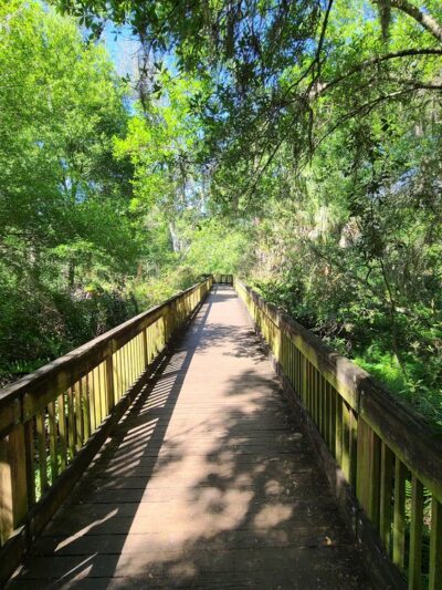 Sawgrass Lake Park - St. Petersburg, FL