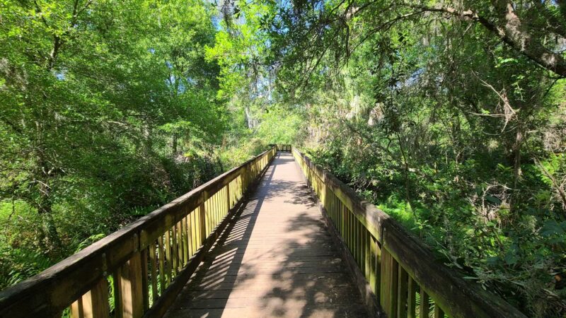 Sawgrass Lake Park - St. Petersburg, FL