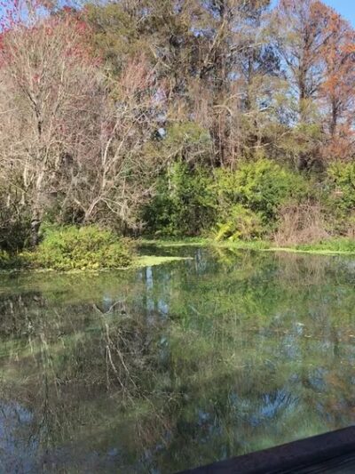 Sawgrass Lake Park - St. Petersburg, FL