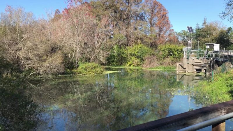 Sawgrass Lake Park - St. Petersburg, FL