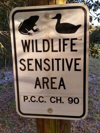 Sawgrass Lake Park - St. Petersburg, FL