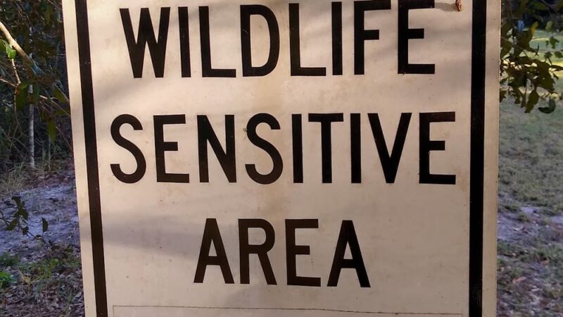 Sawgrass Lake Park - St. Petersburg, FL