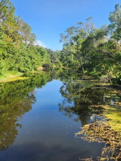 Sawgrass Lake Park - St. Petersburg, FL