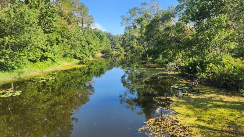 Sawgrass Lake Park - St. Petersburg, FL
