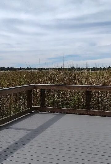 Seminole Park - St. Petersburg, FL