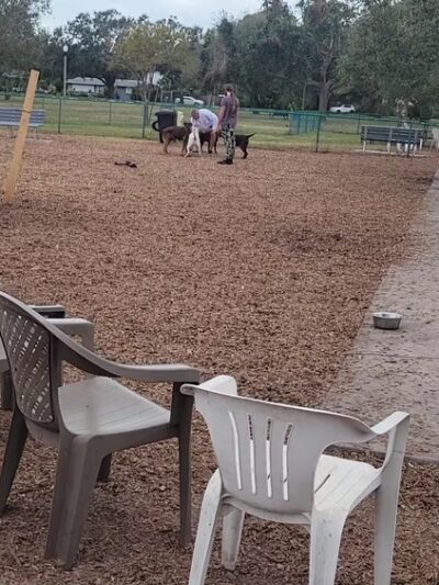 Walter fuller Dog Park - St. Petersburg, FL
