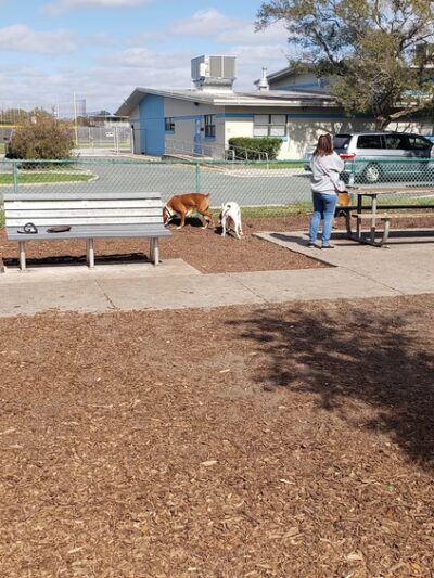 Walter Fuller Park - St. Petersburg, FL