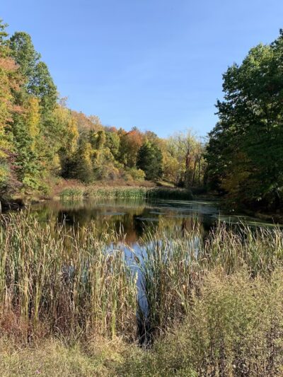 Hopeland trails - Staatsburg, NY