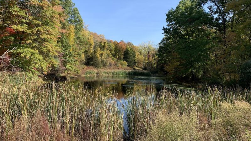Hopeland trails - Staatsburg, NY