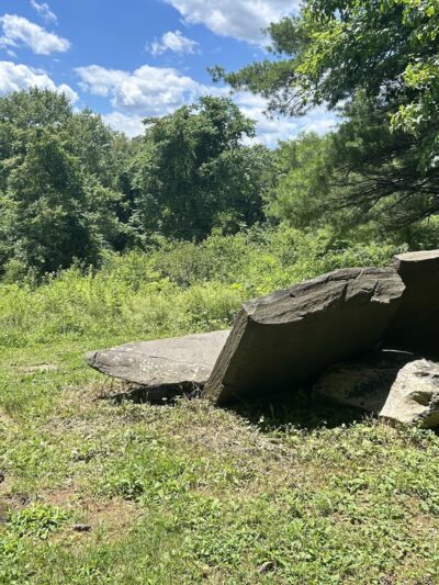 Hopeland trails - Staatsburg, NY