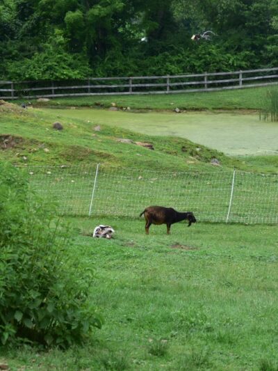 John E. Julian Heritage Park - Stafford Springs, CT