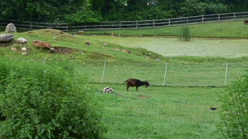 John E. Julian Heritage Park - Stafford Springs, CT