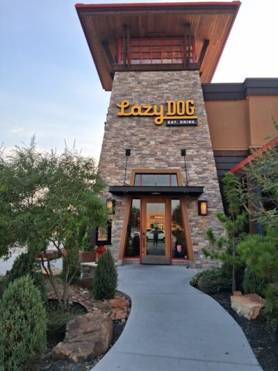 Lazy Dog Restaurant & Bar - Stafford, TX