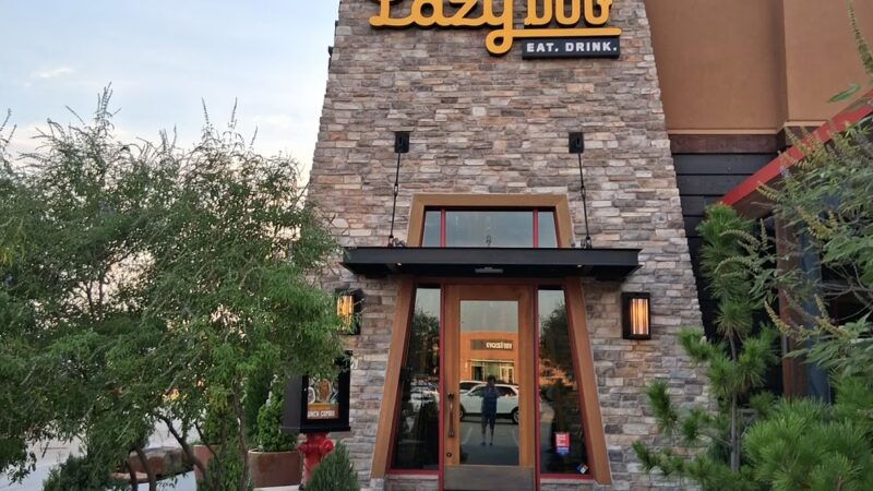 Lazy Dog Restaurant & Bar - Stafford, TX
