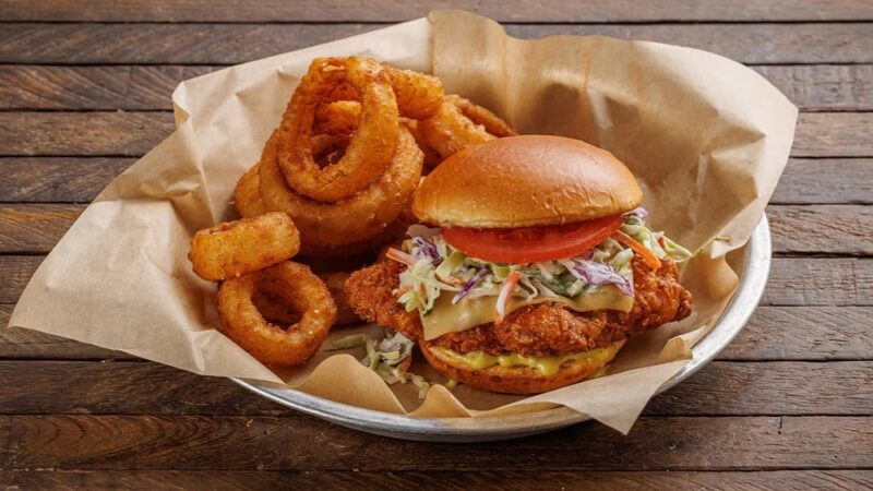 Lazy Dog Restaurant & Bar - Stafford, TX