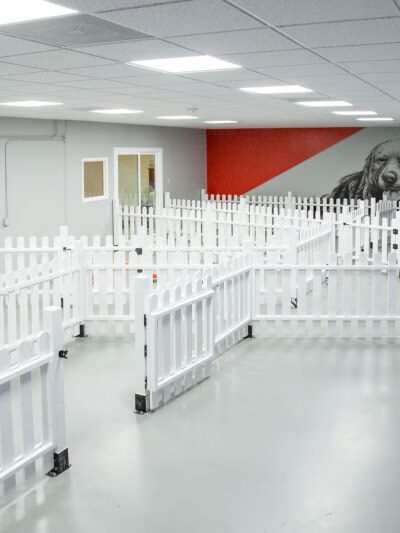 Ruff Ruff Paradise Pet Care & More - Stafford, TX