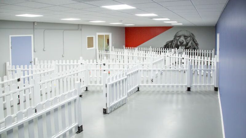 Ruff Ruff Paradise Pet Care & More - Stafford, TX