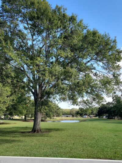 Stafford City Park - Stafford, TX