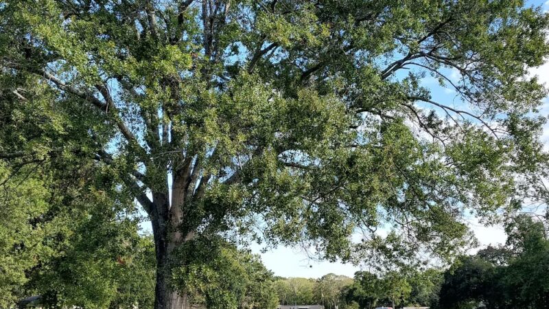 Stafford City Park - Stafford, TX