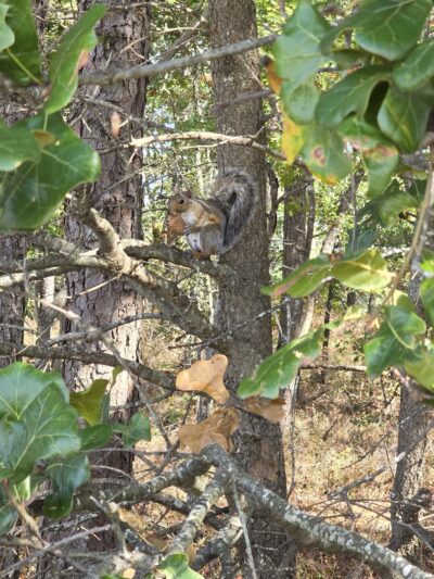 Nautilus Park - Stafford Township, NJ