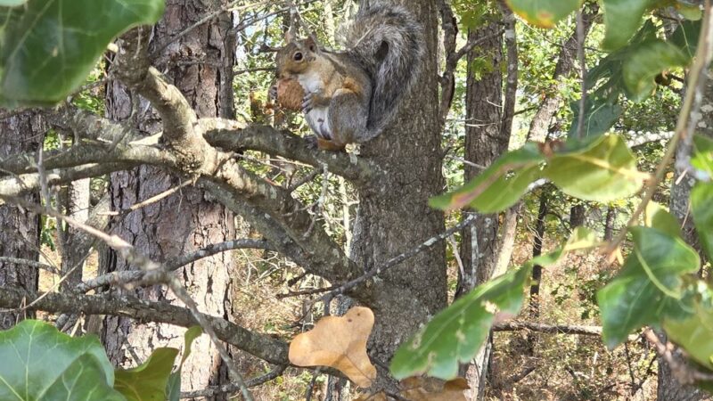 Nautilus Park - Stafford Township, NJ