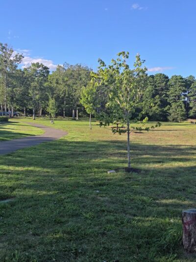 Ocean Acres Lake Park - Stafford Township, NJ