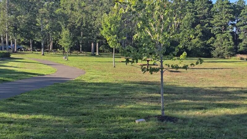 Ocean Acres Lake Park - Stafford Township, NJ
