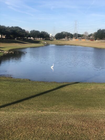 Fountain Lake Park - Stafford, TX