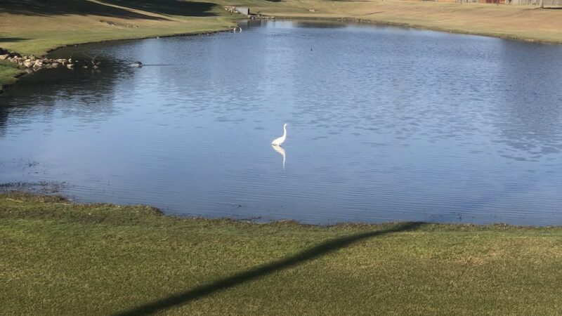 Fountain Lake Park - Stafford, TX