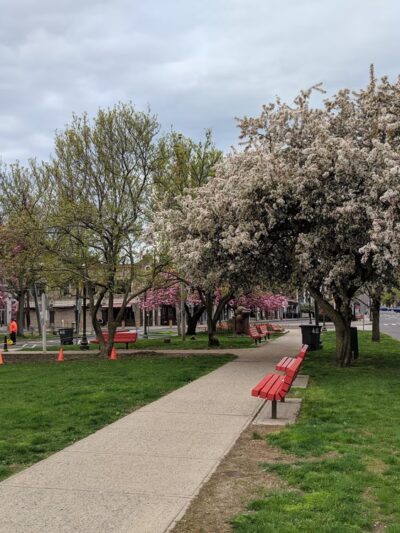 Latham Park - Stamford, CT