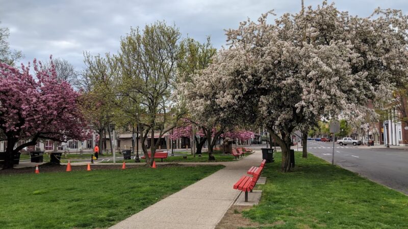 Latham Park - Stamford, CT