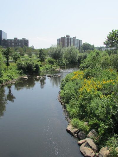 Mill River Park - Stamford, CT