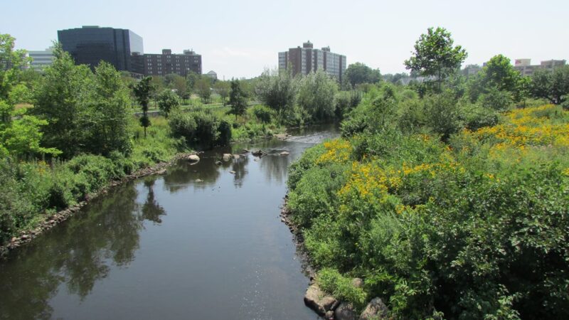 Mill River Park - Stamford, CT